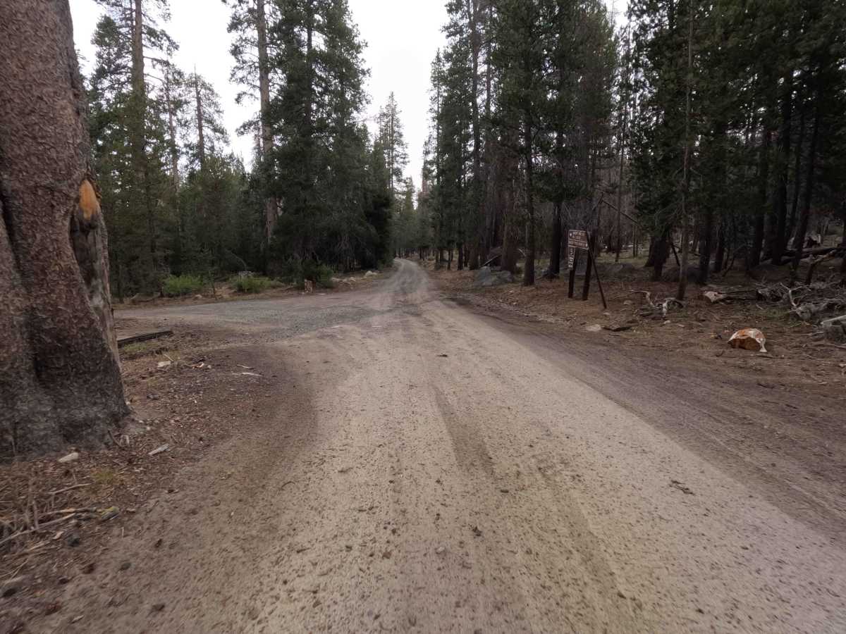 Stump Springs Road - FS 7S005 photo 6