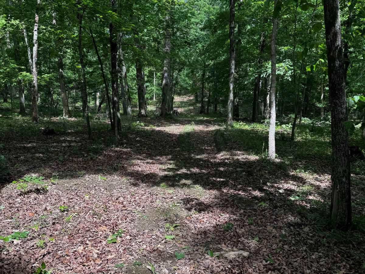 Perimeter Trail photo 3