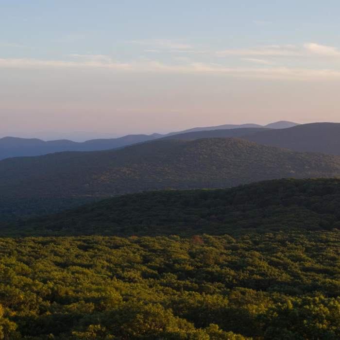 Near Stony Man via Little Stony Man Trail Near Stony Man via Little Stony Man Trail