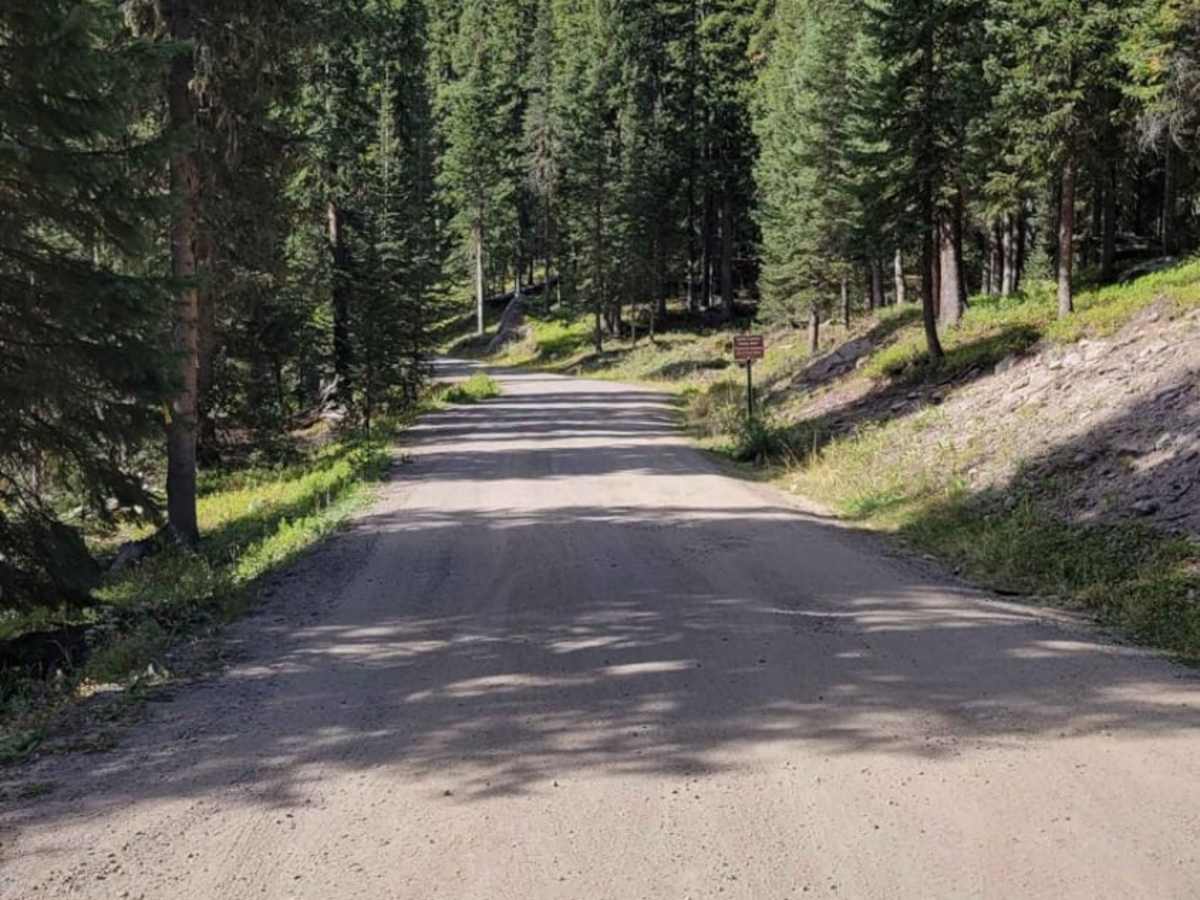 West Fork Cimarron Road trail photo