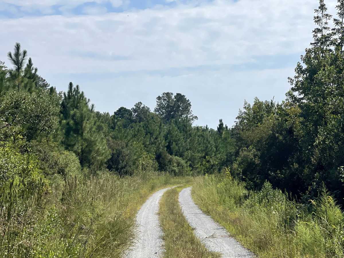 Long Ridge Road photo 5