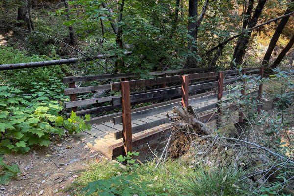 Trail 5 (11E31)  