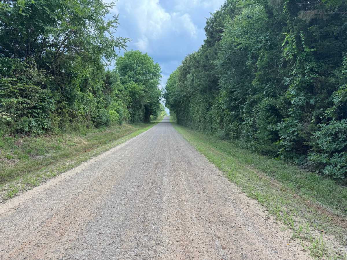 County Road 3851 photo 4