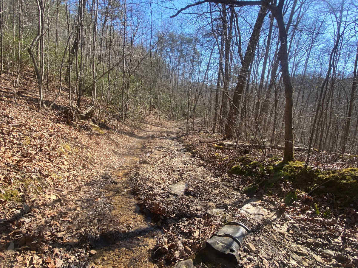 Barnes Buck Road photo 3