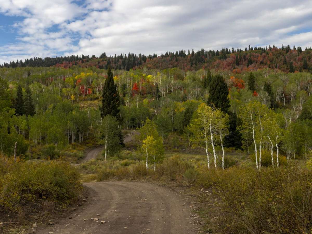 Water Hollow Road trail photo