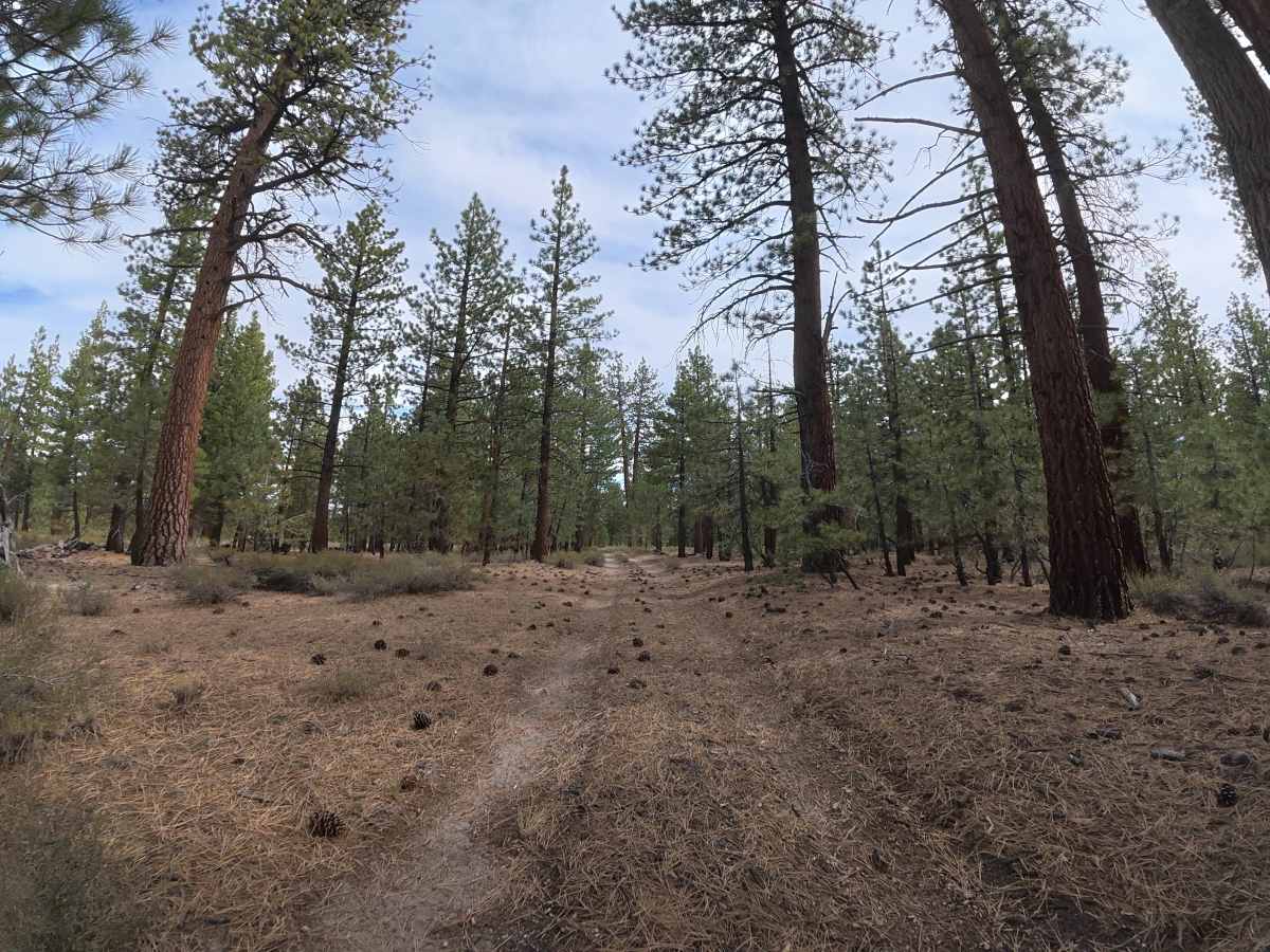 Sandy Flats Access - FS 1S85 photo 3