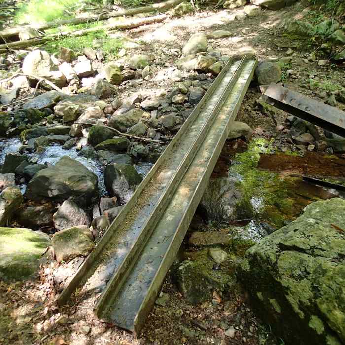 Near Hubbard Loop Trail