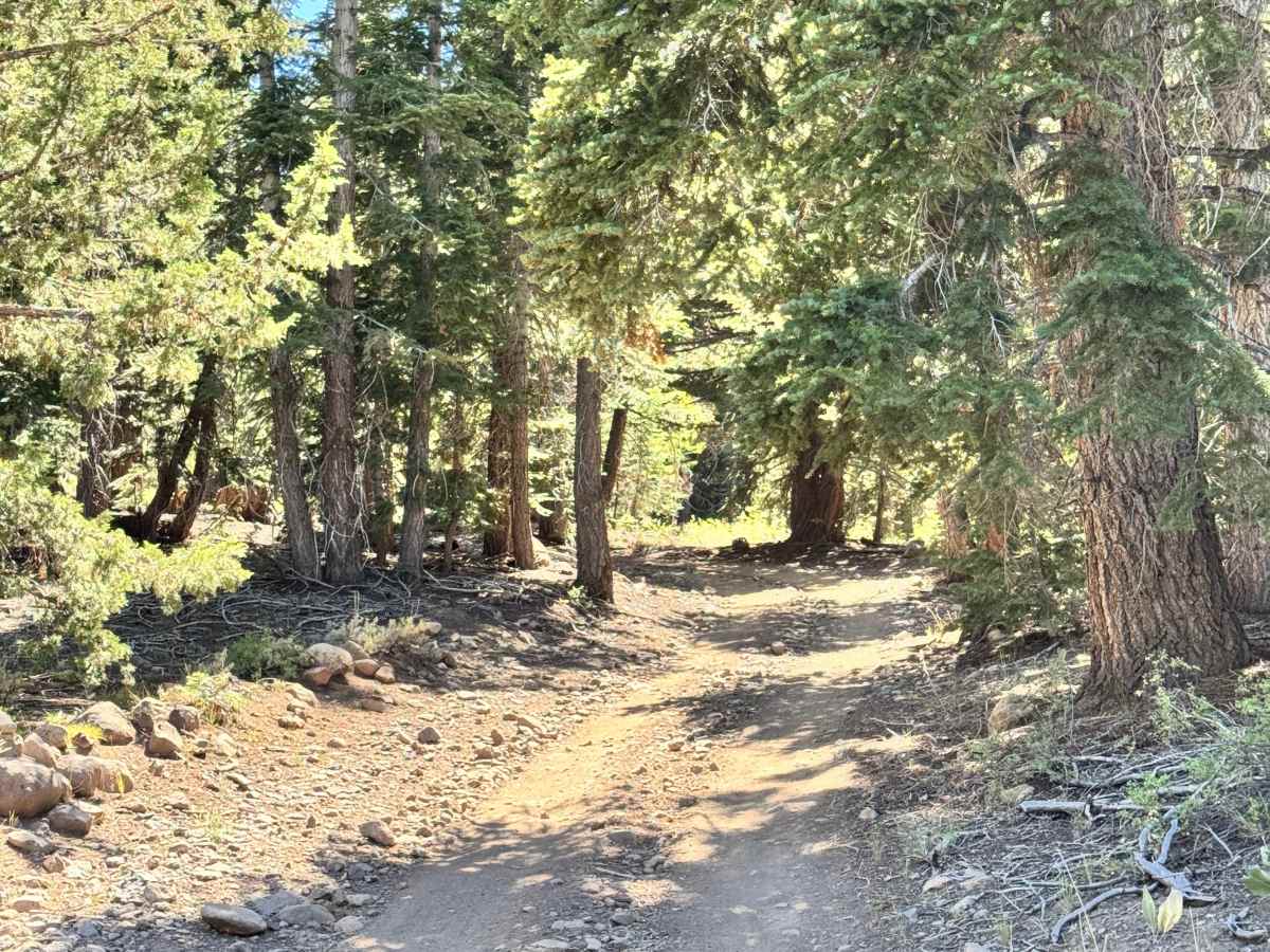 Loope Canyon Road - FS 31190 photo 3