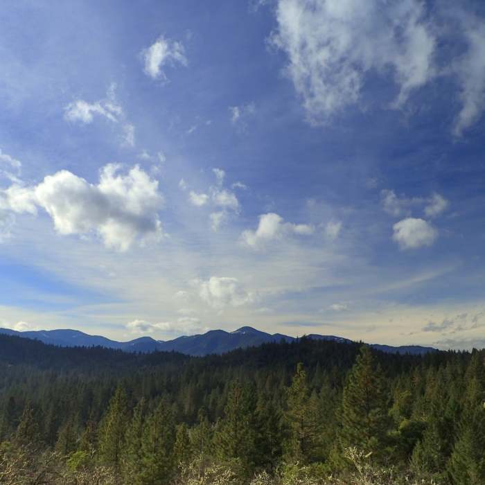 Near Skycrest Loop Trail
