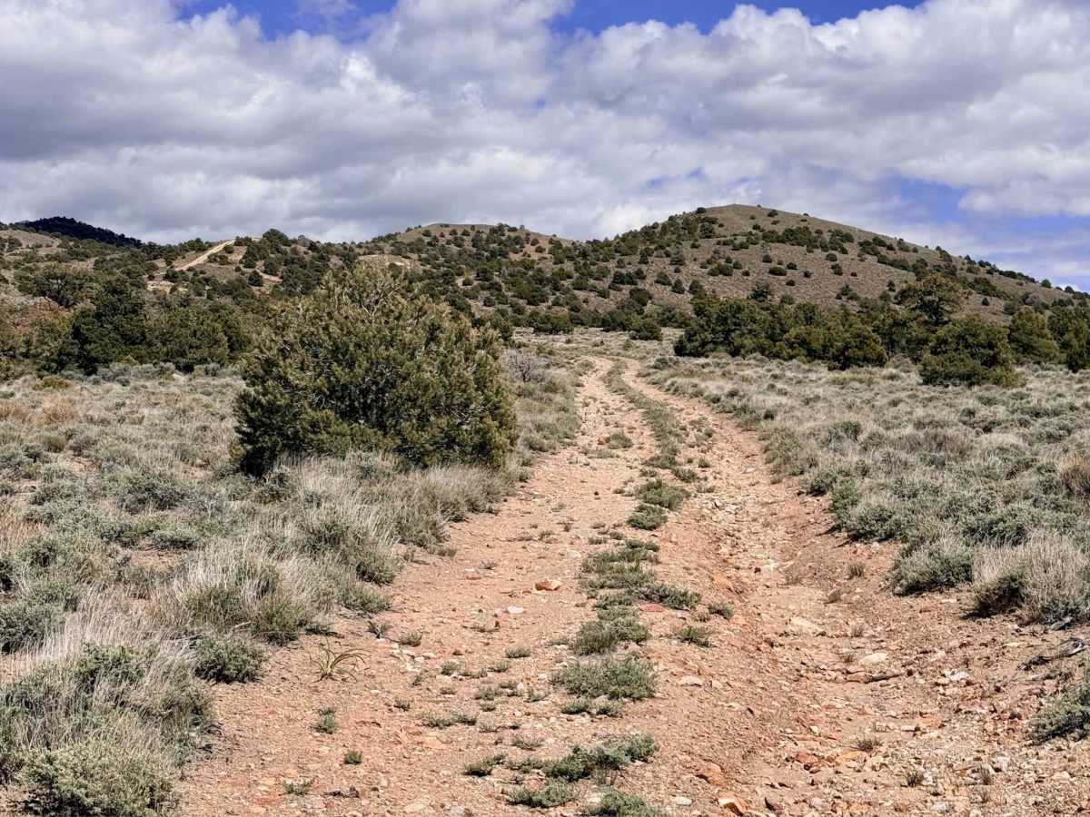 Willow Springs Bypass - FS 44429 trail photo