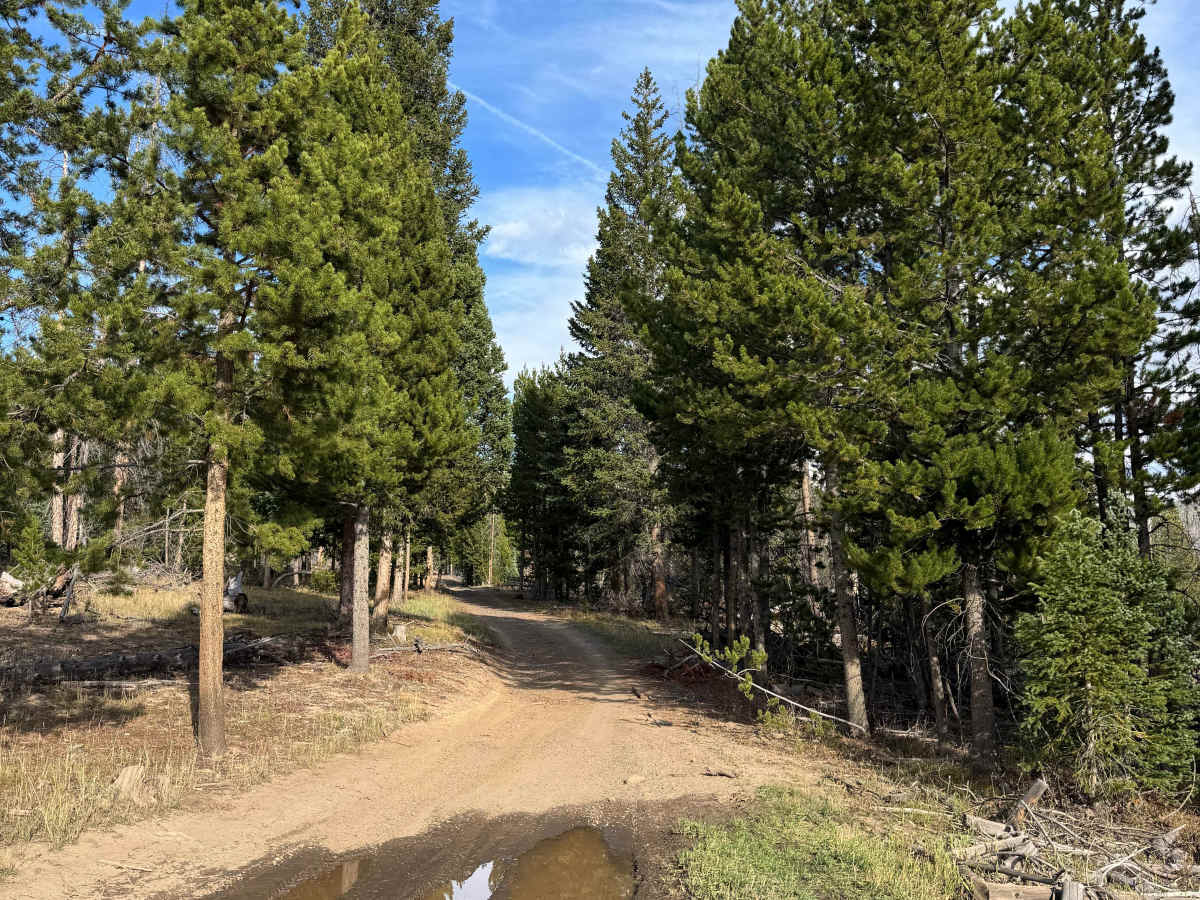 9 Middle Snake Road trail photo