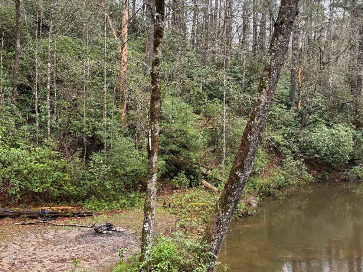 Billingsley Creek - FS 86B photo 5