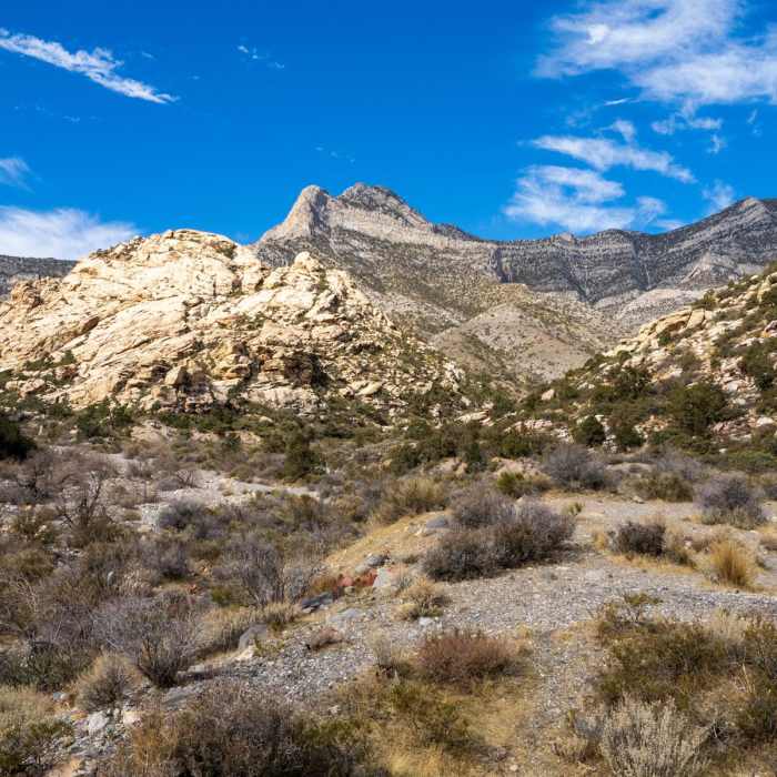 Near La Madre Spring