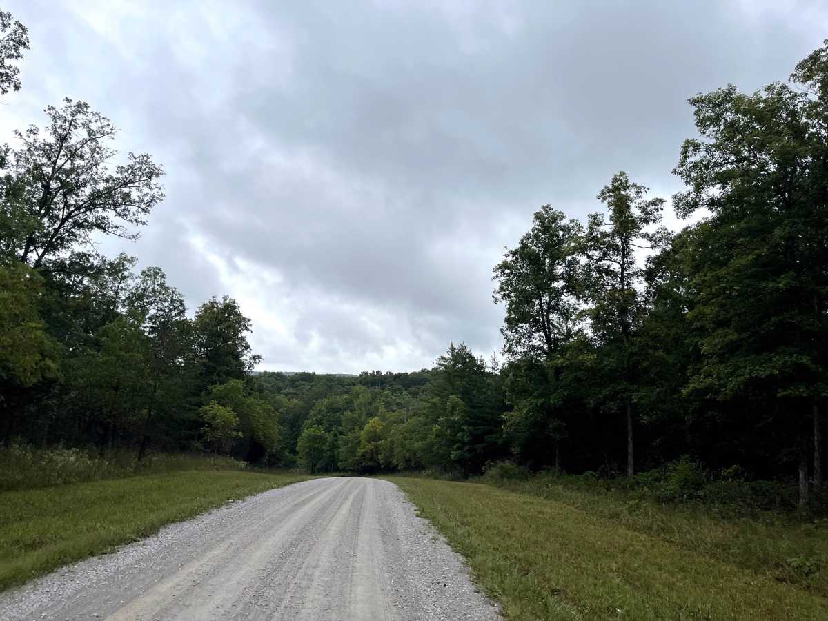 Hebbertburg Road trail photo