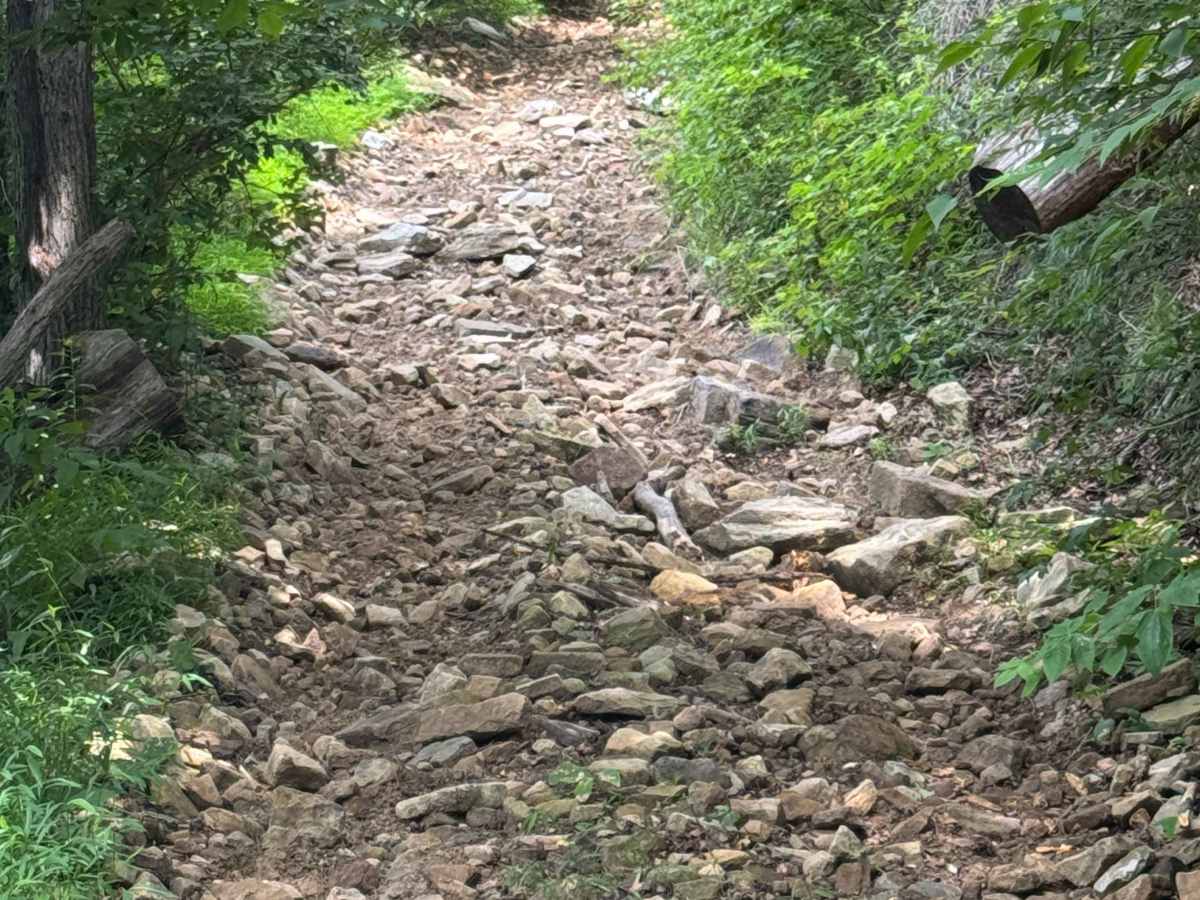 Trail 74 photo 6