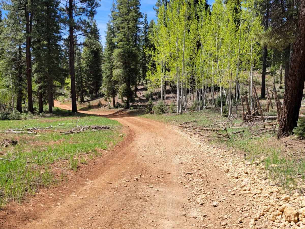 Upper Canyon Loop trail photo