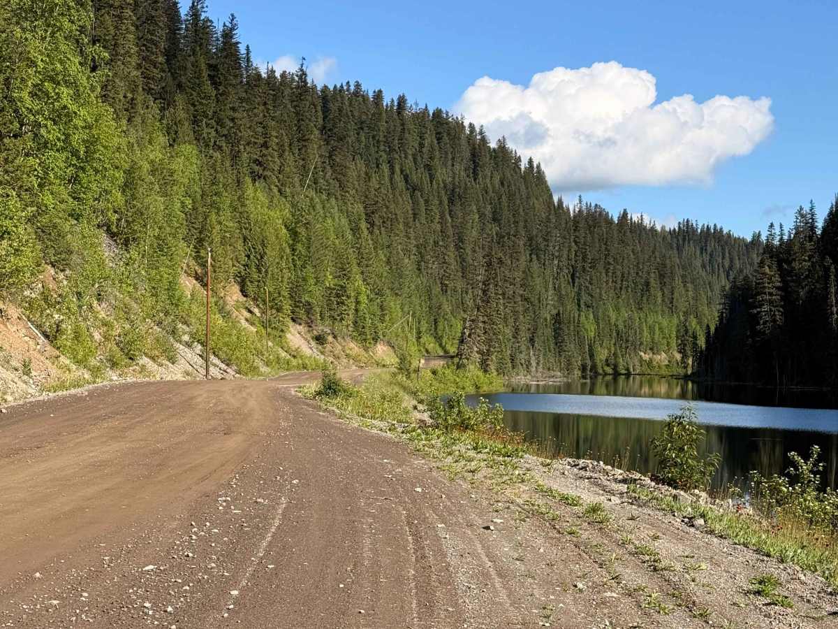 The Back Road photo 2