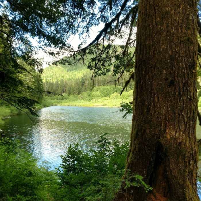 Near Spider Lake Trail #879