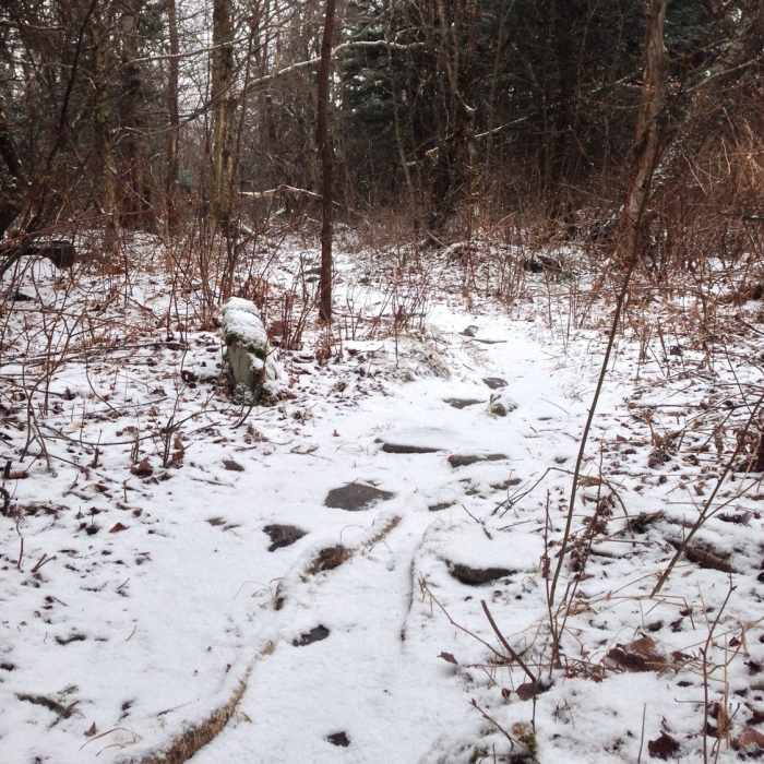 Near Balsam Mountain