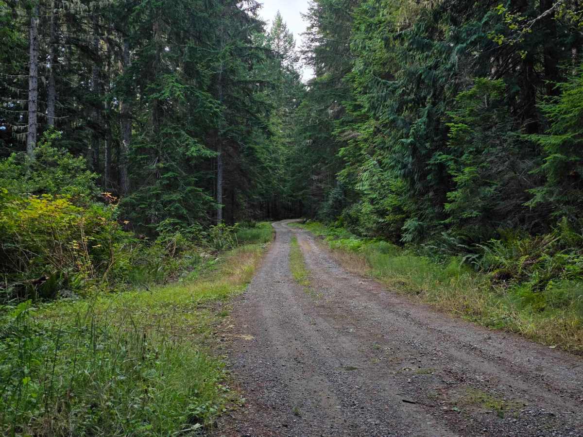 Trapper Creek - FS 2852 photo 5