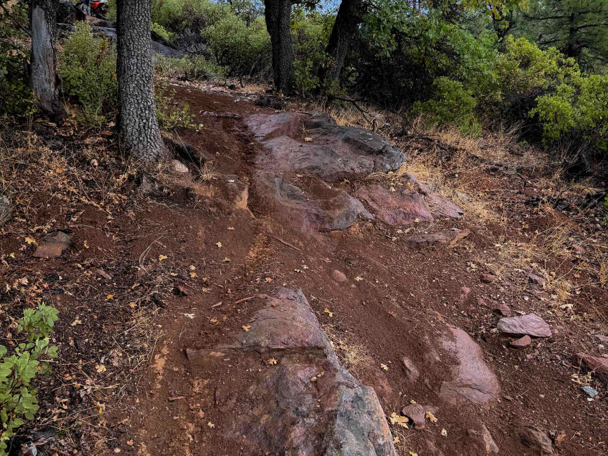 Taylor Creek  photo 6