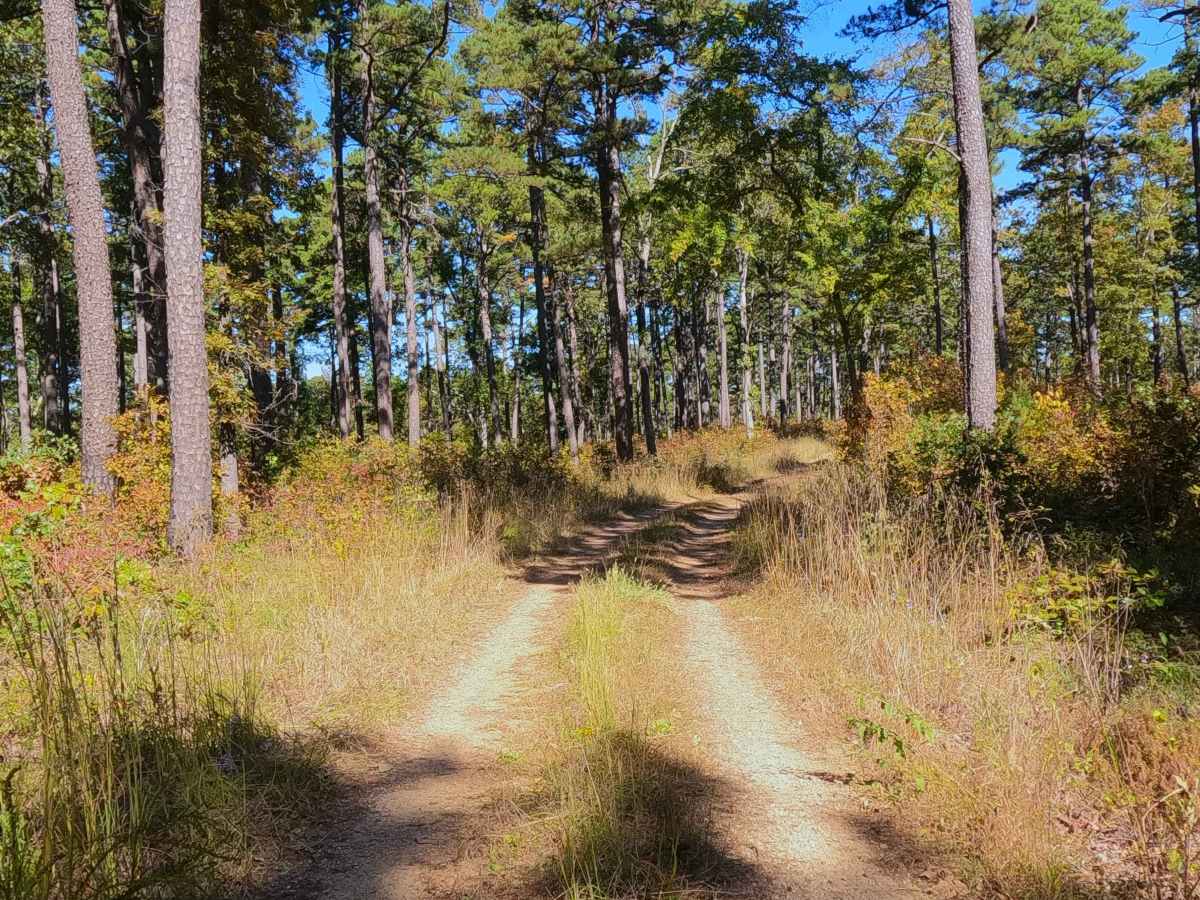 High Ridge - FS 3750 photo 3