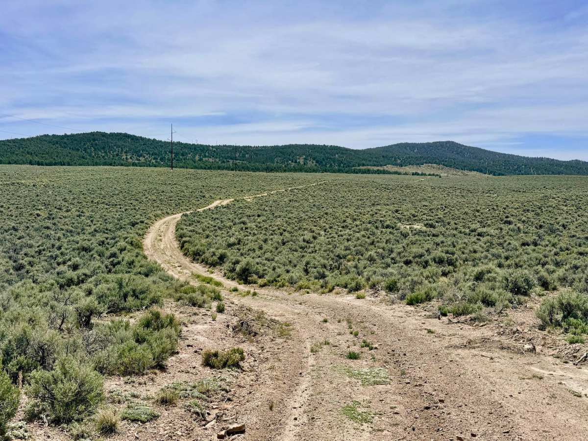Streshley Springs FS42496 photo 5