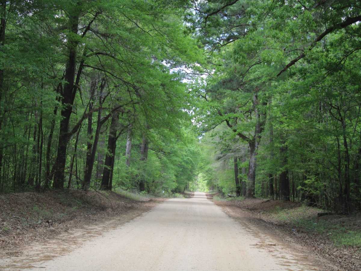 The Arkansas Overland Route - TrailHawk Loop - Section 26 photo 3