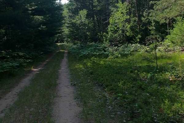Bills Creek West - FSR 2814