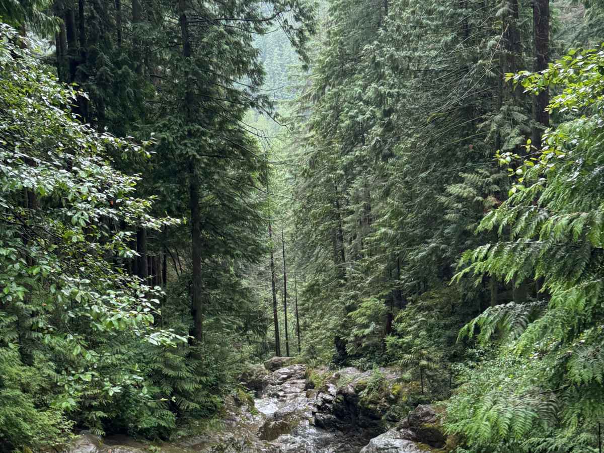 Lost Creek photo 6