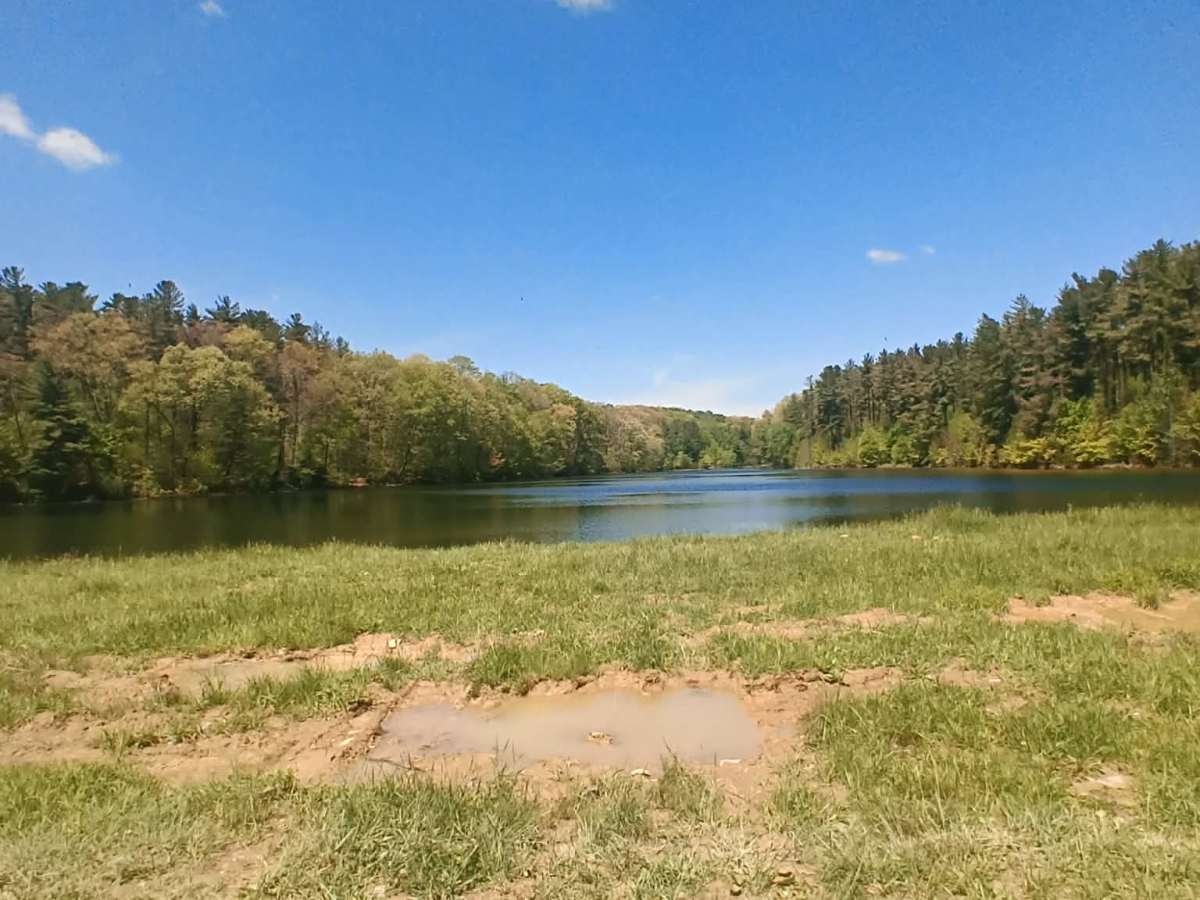 Essington Lake trail photo