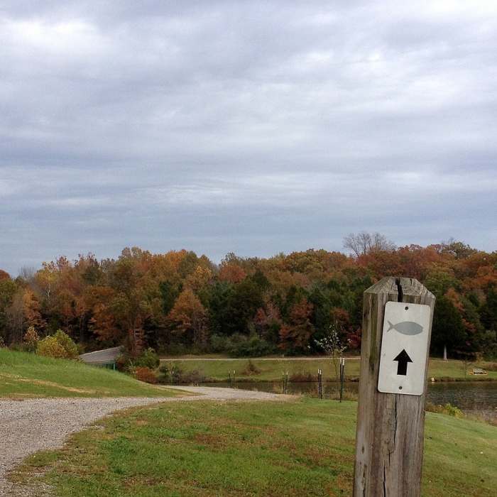 Near Crow's Roost Trail