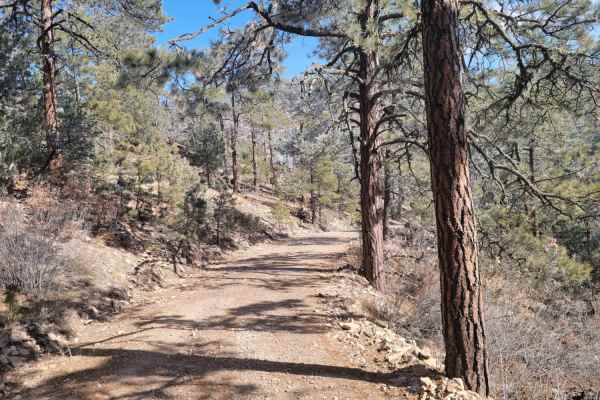Glorieta Peak