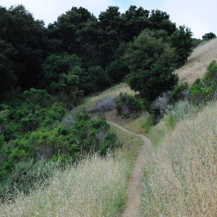 Near Rainbow Knoll Trail