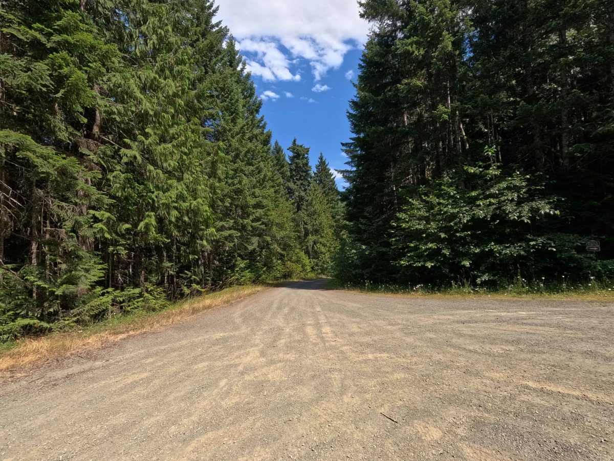 FS 2870230 trail photo