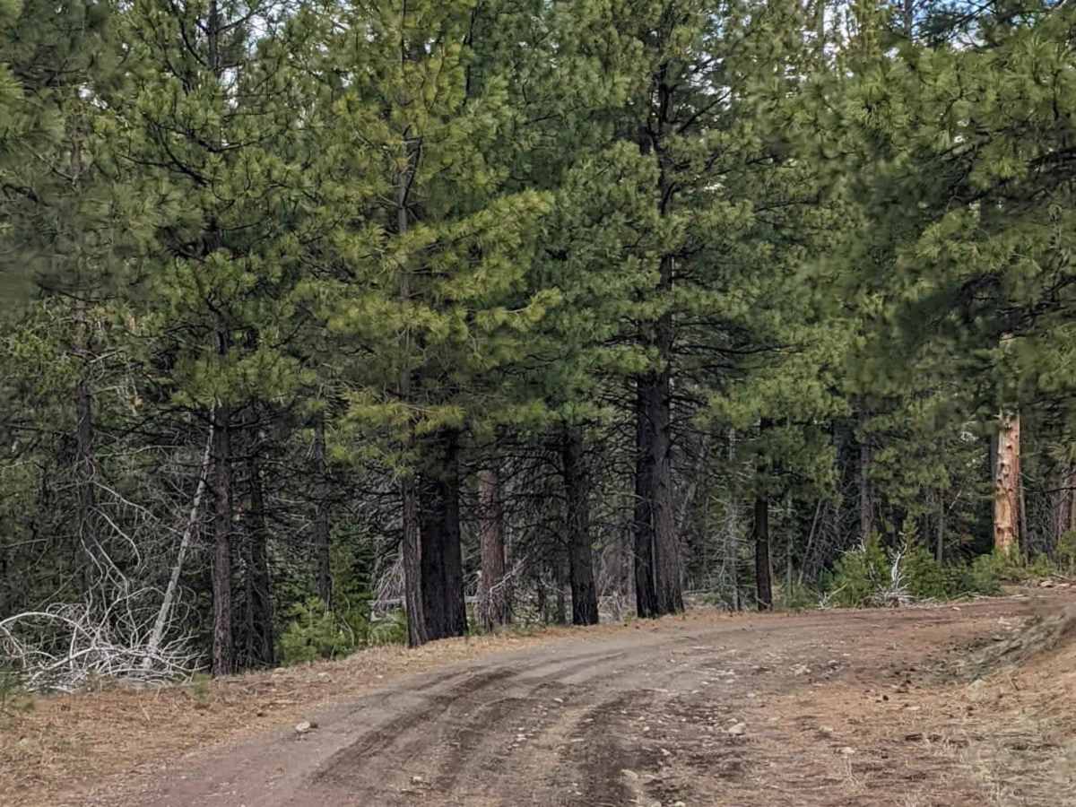 Lower Cross District Trail trail photo