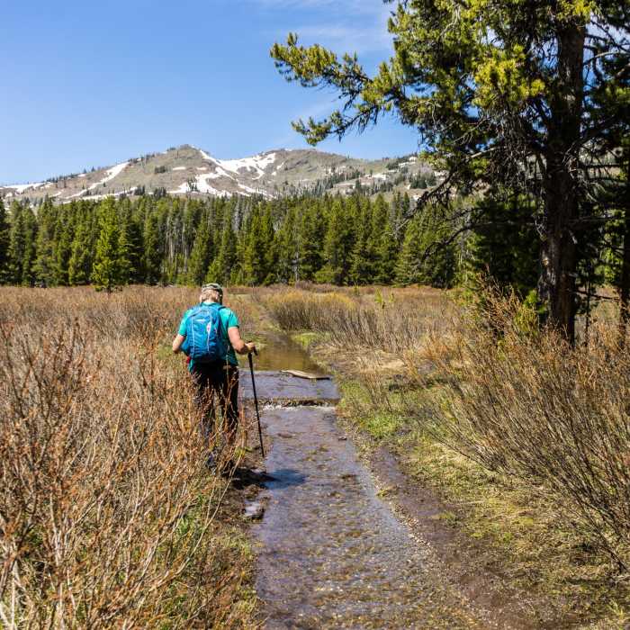 Near Cascade Lake Trail