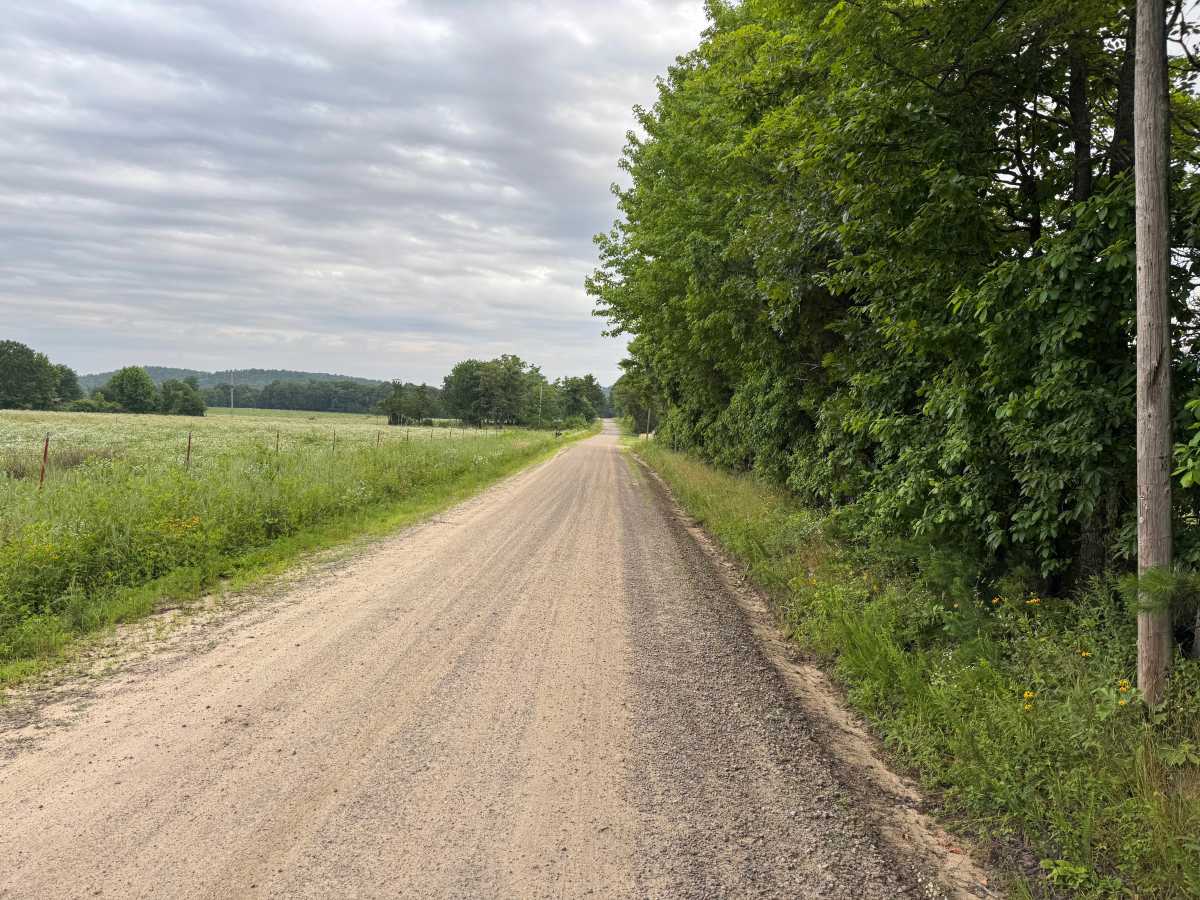 County Road 4501 photo 3