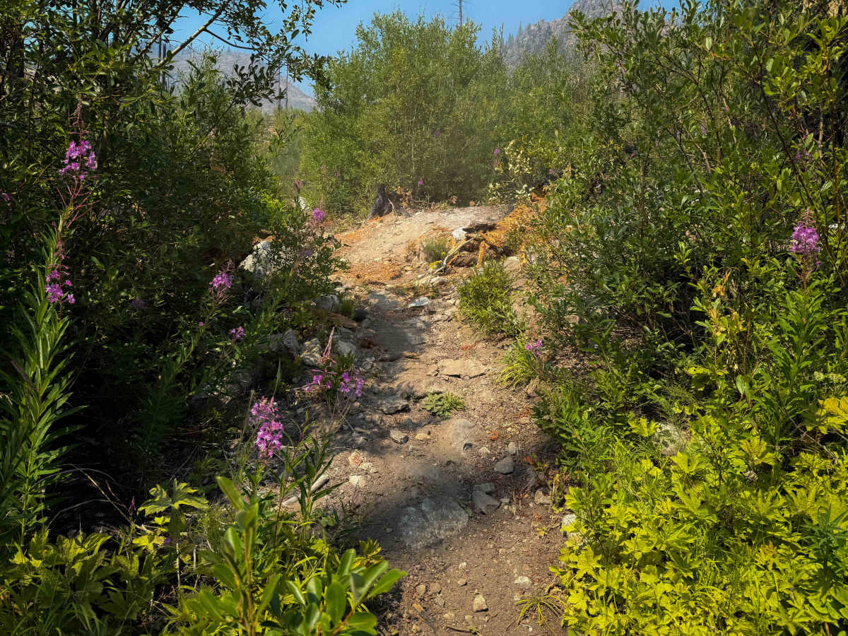 Safety Harbor Creek  photo 6
