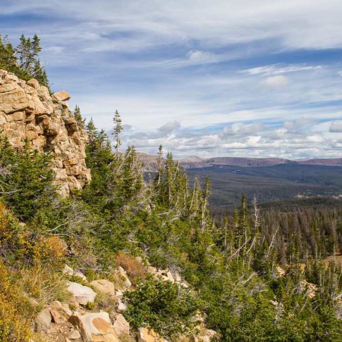 Near Bald Mountain via Bald Mountain Pass