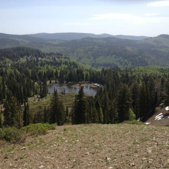 A view of Crescent Lake from above, taken on the ridge above Steep Hollow. Near Steep Hollow Road FR 289