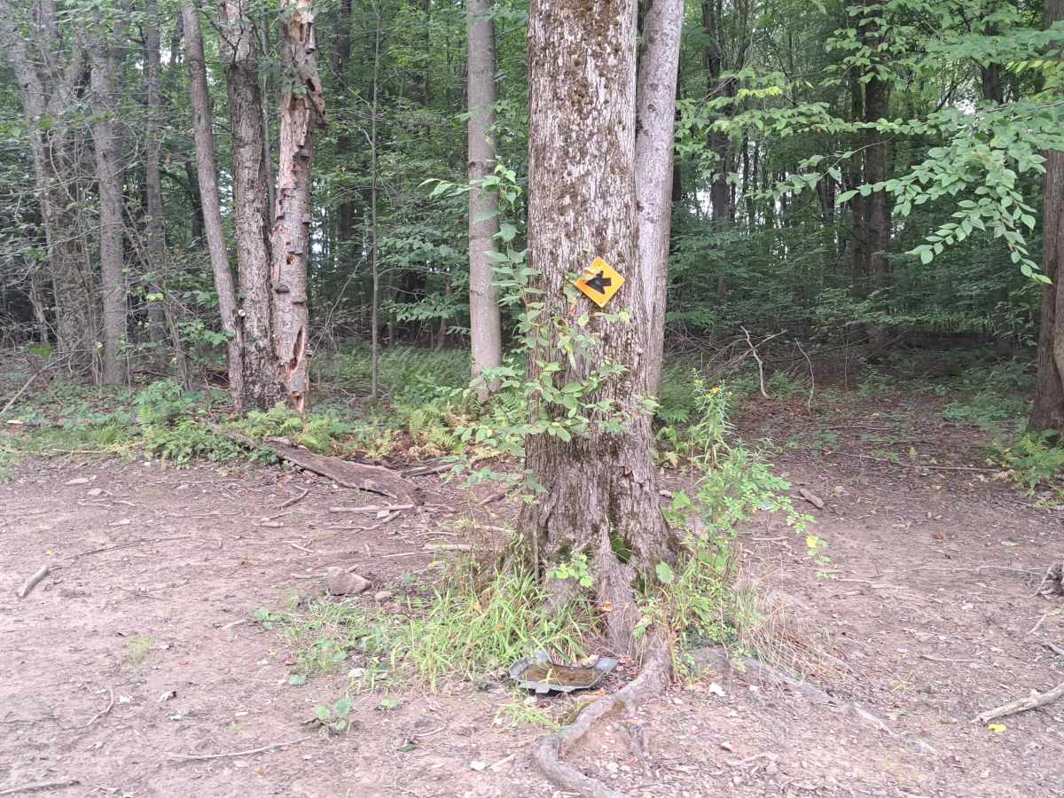 Corner Woods photo 2