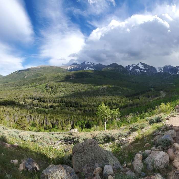 Near Bierstadt Lake Trail