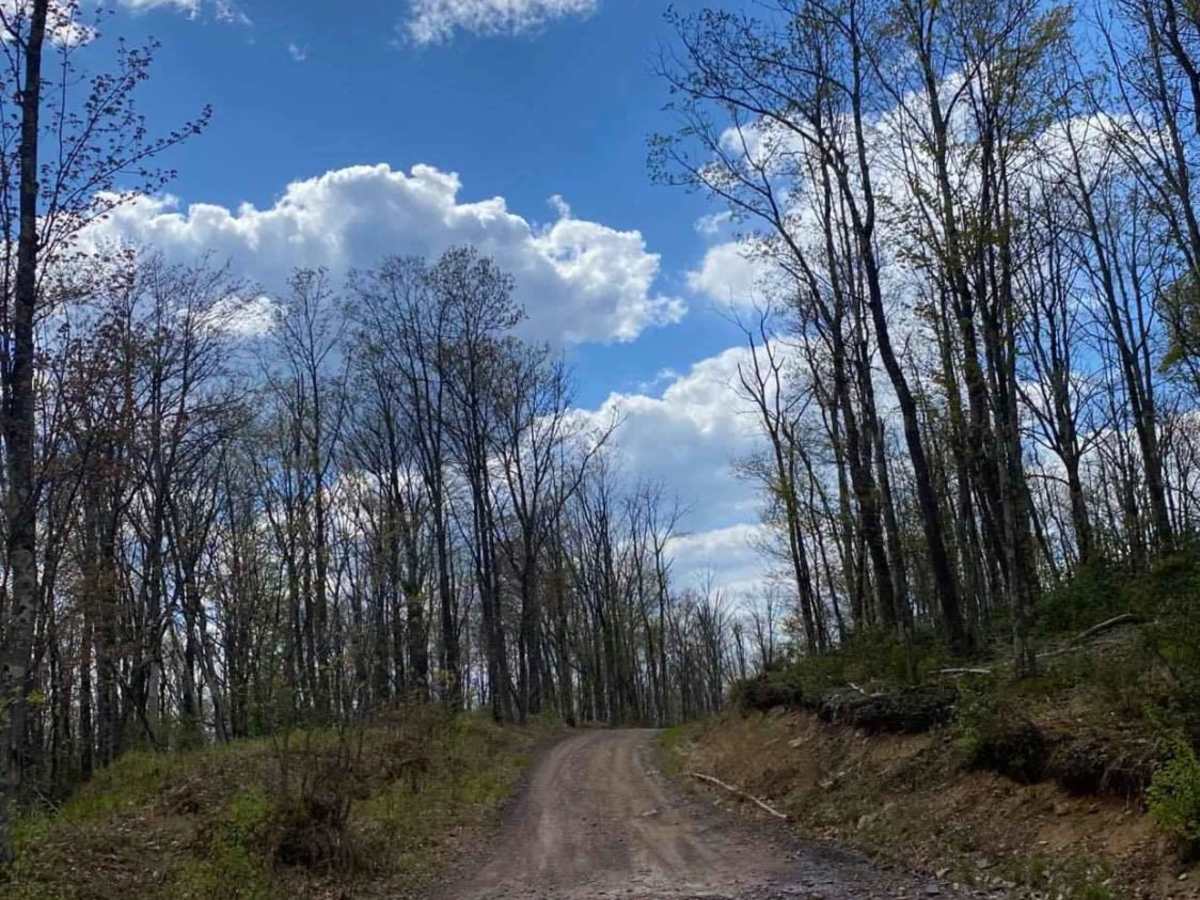 Balish Road trail photo