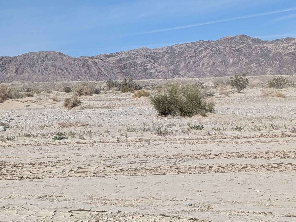 Carrizo Wash South photo 2