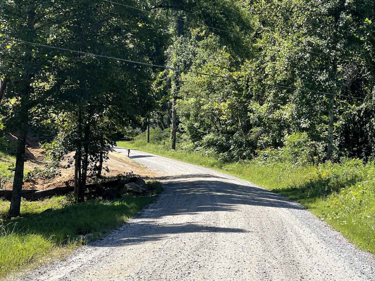State Route 90 trail photo