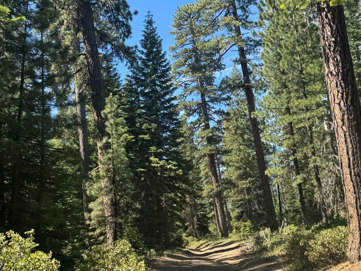 Dugout Lake - FS 1030-350 photo 3