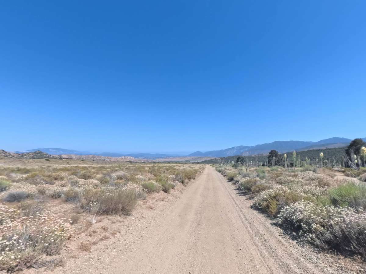 Maxey Ranch Road Spur photo 5