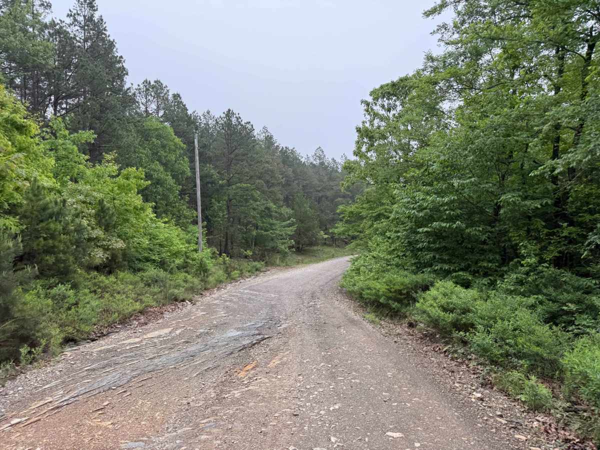 Polk County Road 601 photo 6