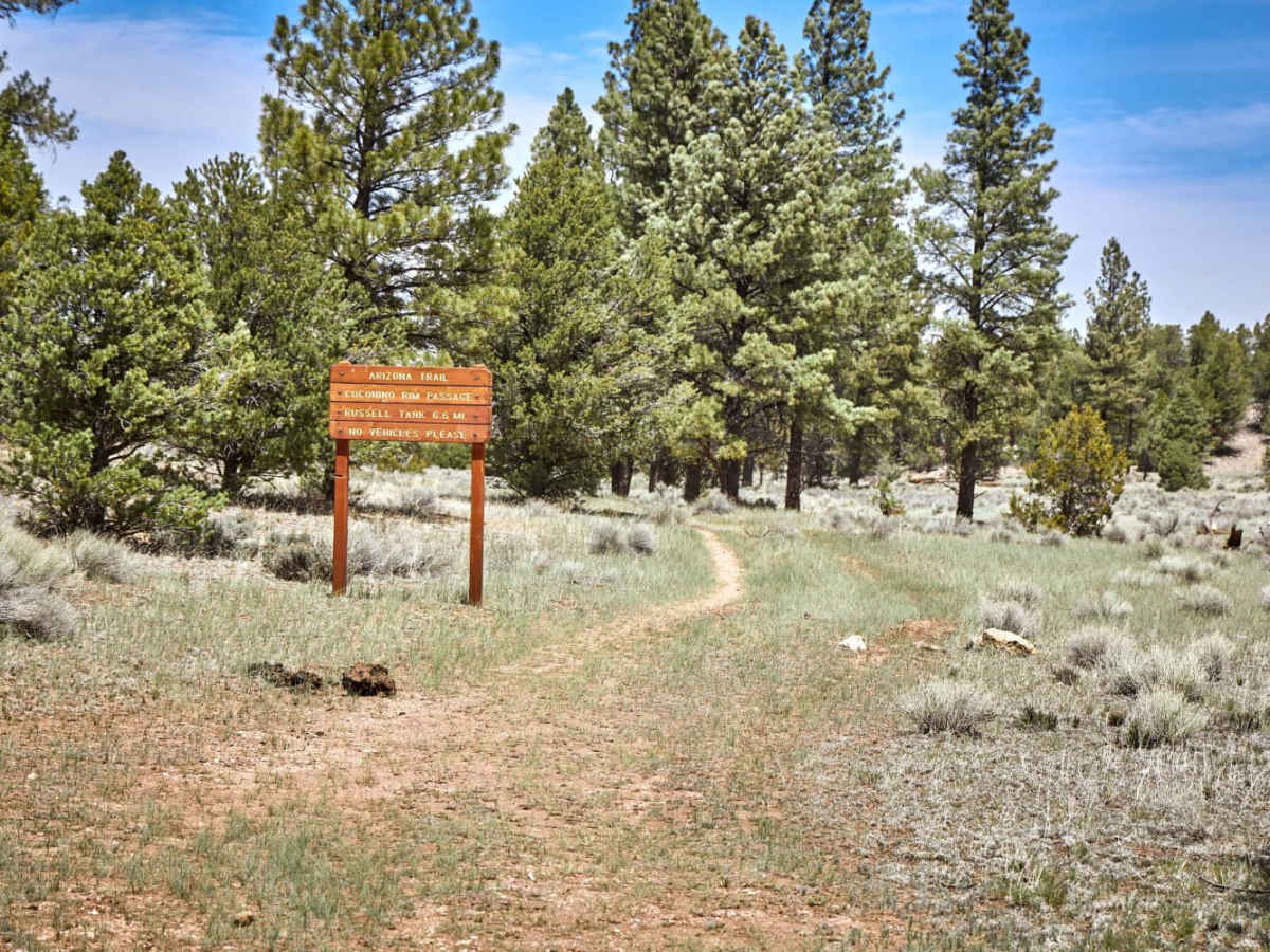 Peterson Flat photo 3